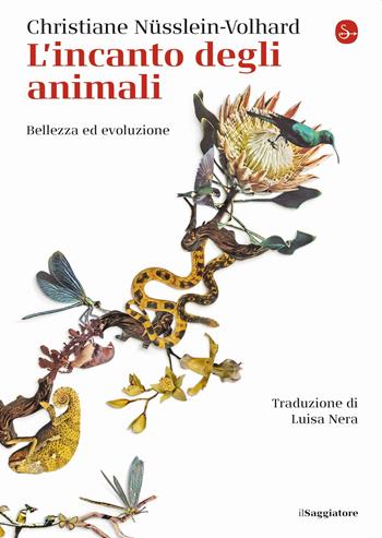 L' incanto degli animali. Bellezza ed evoluzione - Christiane Nüsslein Volhard - Libro Il Saggiatore 2020, La cultura | Libraccio.it