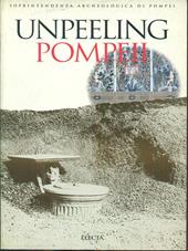 Sotto i lapilli. Studi nella Regio I di Pompei. Ediz. inglese