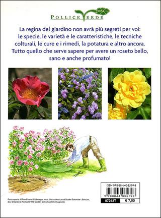 La rosa. Classificazione, cure colturali, scelta. Ediz. illustrata  - Libro Demetra 2009, Pollice verde | Libraccio.it