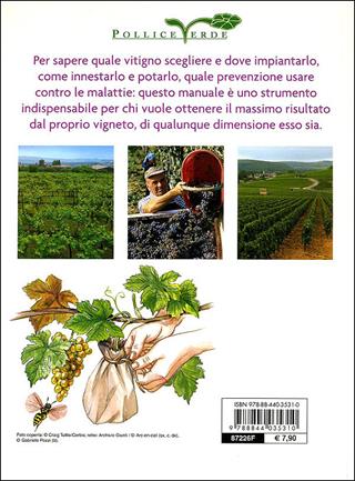 La vite. Varietà, impianto e potatura  - Libro Demetra 2009, Pollice verde | Libraccio.it