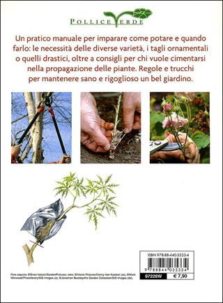 Potatura e riproduzione in giardino. Ediz. illustrata - Enrica Boffelli, Guido Sirtori - Libro Demetra 2009, Pollice verde | Libraccio.it