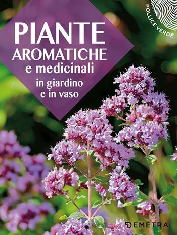 Piante aromatiche e medicinali in giardino e in vaso  - Libro Demetra 2017, Pollice verde | Libraccio.it