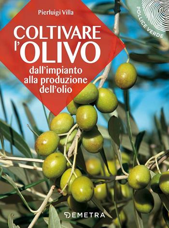 Coltivare l'olivo. Dall'impianto alla produzione dell'olio - Pierluigi Villa - Libro Demetra 2017, Pollice verde | Libraccio.it