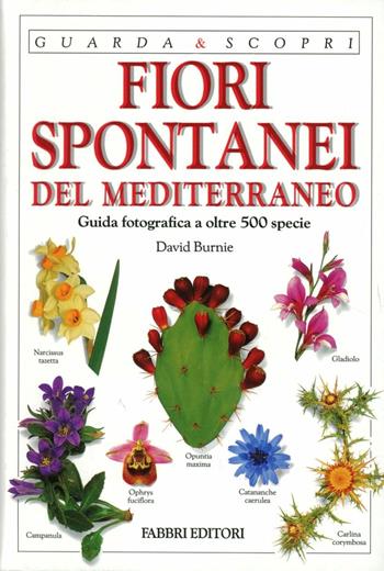 Fiori spontanei del Mediterraneo - David Burnie - Libro Fabbri 1995, Guarda e scopri | Libraccio.it