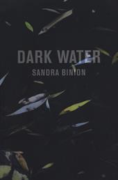 Dark water. Catalogo della mostra (Pisa, 18 marzo-20 maggio 2017). Ediz. italiana e inglese