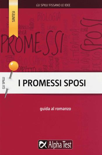 I Promessi Sposi. Guida al romanzo - Alessandro Capata - Libro Alpha Test 2015, Gli spilli | Libraccio.it