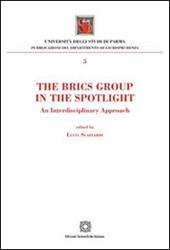 The Brics Group in the sportlight. An interdisciplinary approach