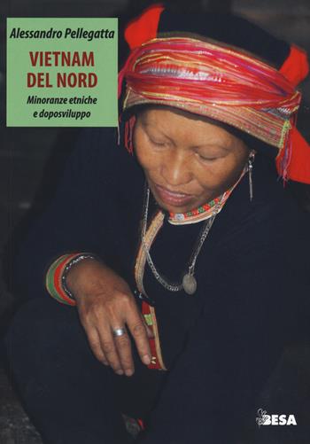Vietnam del nord. Minoranze etniche e doposviluppo - Alessandro Pellegatta - Libro Salento Books 2018, Entropie | Libraccio.it