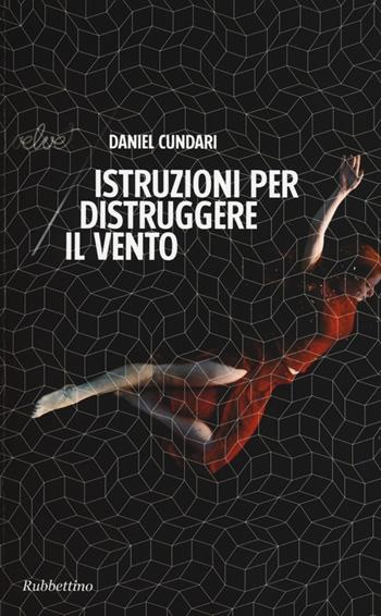 Istruzioni per distruggere il vento - Daniel Cundari - Libro Rubbettino 2013, Velvet | Libraccio.it
