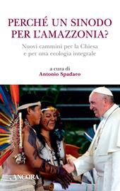 Perché un sinodo per l'Amazzonia? Nuovi cammini per la Chiesa e per una ecologia integrale
