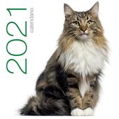 Gatti. Calendario da muro 2021