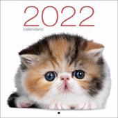 Gatti. Calendario da muro 2022