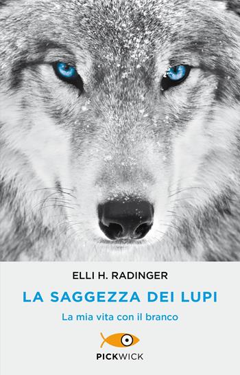 La saggezza dei lupi. La mia vita con il branco - Elli H. Radinger - Libro Sperling & Kupfer 2020, Pickwick | Libraccio.it
