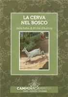   La cerva nel bosco