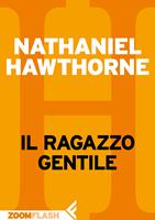   Il ragazzo gentile