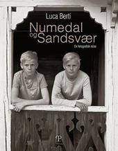 Numedal og Sandsvær. En fotografisk reise. Ediz. illustrata