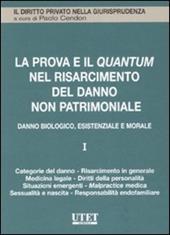 La prova e il quantum nel risarcimento del danno non patrimoniale. Vol. 1: Danno biologico, esistenziale e morale