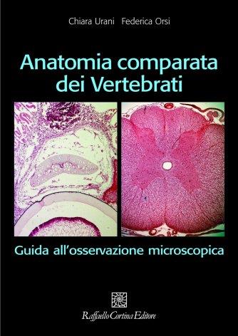 Anatomia comparata dei vertebrati. Guida all'osservazione microscopica - Chiara Urani, Federica Orsi - Libro Raffaello Cortina Editore 2007 | Libraccio.it