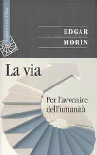 La via. Per l'avvenire dell'umanità - Edgar Morin - Libro Raffaello Cortina Editore 2011, Saggi | Libraccio.it