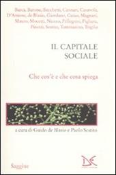 Il capitale sociale. Che cos'è e che cosa spiega
