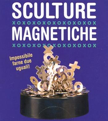 Sculture magnetiche. Con gadget - Joelle Herr - Libro Magazzini Salani 2012 | Libraccio.it