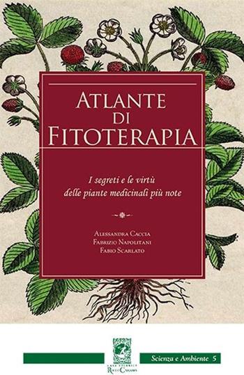 Atlante di fitoterapia - Alessandra Caccia, Fabrizio Napolitani, Fabio Scarlato - Libro Carabba 2012 | Libraccio.it