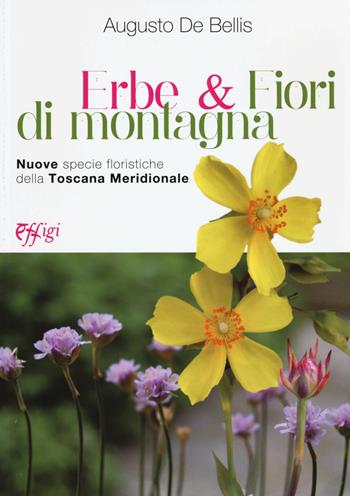 Erbe & fiori di montagna. Nuove specie floristiche della Toscana meridionale - Augusto De Bellis - Libro C&P Adver Effigi 2018, Microcosmi | Libraccio.it
