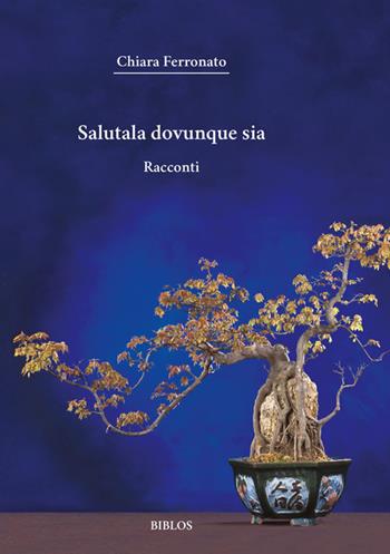 Salutala dovunque sia - Chiara Ferronato - Libro Biblos 2019 | Libraccio.it