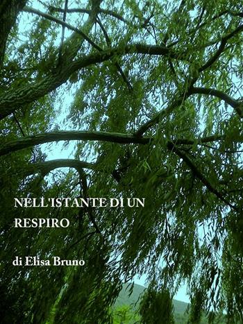 Nell'istante di un respiro - Elisa Bruno - Libro Aletti 2012, Gli emersi narrativa | Libraccio.it