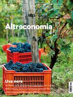 Altreconomia (2024). Vol. 273