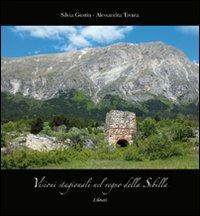 Visioni stagionali nel regno della Sibilla - Silvia Gustin, Alessandra Trenta - Libro Lìbrati 2011 | Libraccio.it