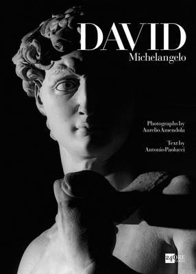 David. Ediz. inglese - Antonio Paolucci, Aurelio Amendola - Libro 24 Ore Cultura 2014 | Libraccio.it