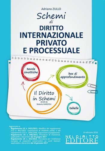 Schemi di diritto internazionale privato e processuale  - Libro Neldiritto Editore 2016, Il diritto in schemi | Libraccio.it