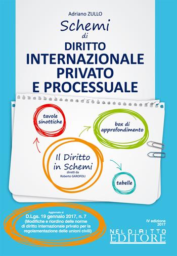 Schemi di diritto internazionale privato e processuale  - Libro Neldiritto Editore 2017, Il diritto in schemi | Libraccio.it