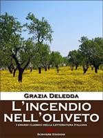   L'incendio nell'oliveto
