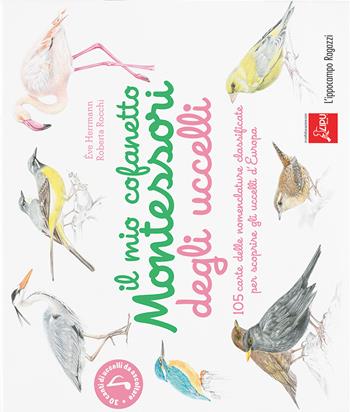 Il mio cofanetto Montessori degli uccelli - Ève Herrmann, Roberta Rocchi - Libro L'Ippocampo Ragazzi 2017 | Libraccio.it