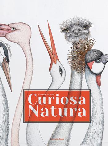 Curiosa natura - Florence Guiraud - Libro L'Ippocampo Ragazzi 2017 | Libraccio.it
