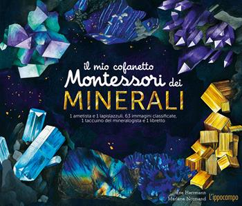 Il mio cofanetto Montessori dei minerali. Ediz. a colori. Con gadget - Ève Herrmann, Marlène Normand - Libro L'Ippocampo Ragazzi 2020 | Libraccio.it