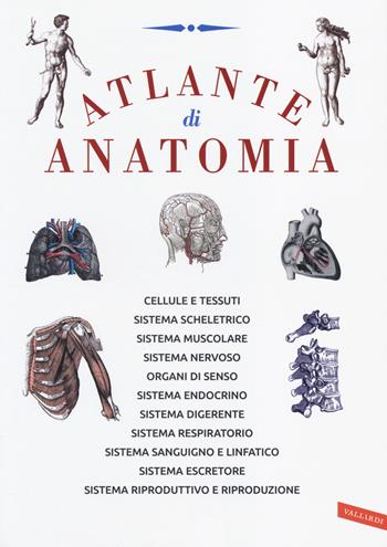 Atlante di anatomia  - Libro Vallardi A. 2014 | Libraccio.it