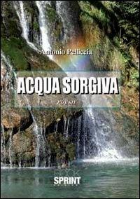 Acqua sorgiva - Antonio Pelliccia - Libro Booksprint 2012 | Libraccio.it