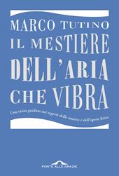 Il mestiere dell'aria che vibra. Una visita guidata nei segreti della musica e dell'opera lirica