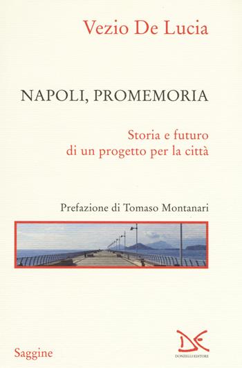 Napoli, promemoria. Storia e futuro di un progetto per la città - Vezio De Lucia - Libro Donzelli 2018, Saggine | Libraccio.it