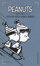 Sento dei passi, Charlie Brown!. Vol. 17