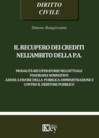   Il recupero dei crediti nell'ambito della PA