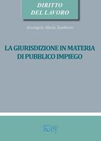   La giurisdizione in materia di pubblico impiego