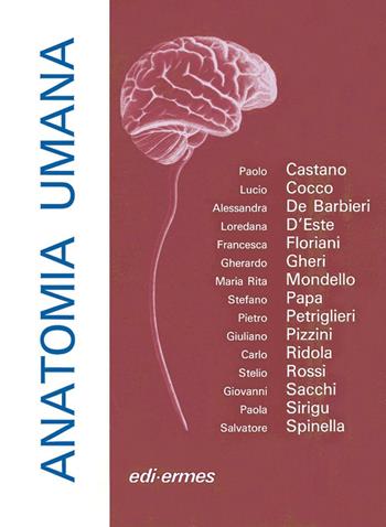 Anatomia umana  - Libro Edi. Ermes 2003 | Libraccio.it