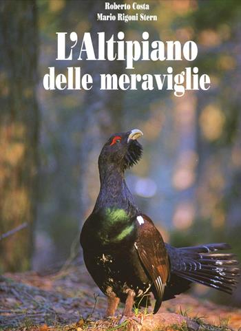 L' altipiano delle meraviglie - Mario Rigoni Stern, Roberto Costa - Libro Magnus 2004 | Libraccio.it