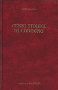 Cenni storici di Codogno - Davide Palazzina - Libro Il Pomerio, Storia Italia | Libraccio.it