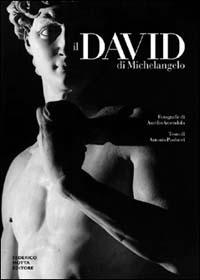 Il David di Michelangelo - Aurelio Amendola, Antonio Paolucci - Libro 24 Ore Cultura 2002 | Libraccio.it
