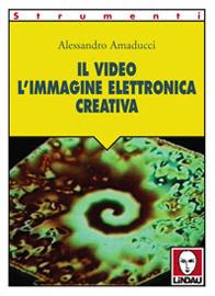 Il video. L'immagine elettronica creativa - Alessandro Amaducci - Libro Lindau 1998, Strumenti | Libraccio.it